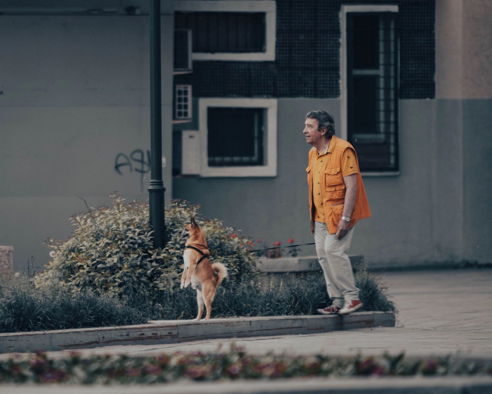 Elderly man in orange vest with dog on leash standing in an urban area.